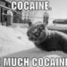 Сосисоколбас