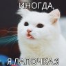 НяшныйКотик