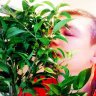 rolyx2