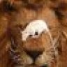 mrLionqqq