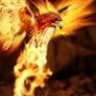 FireEagle747