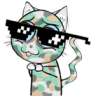 Kawaiii