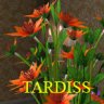 Tardiss