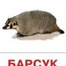 Барсучёк)