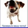 Злая каг собако