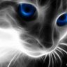 3aIIaIlIHblU