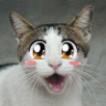 dwarf_manager