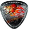 AcTIVISION_UA
