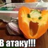ASHKOBRA