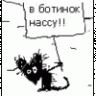 ragnatok