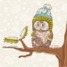 Nival Owl