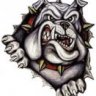 'BuLDoGs'