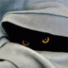 Agent-Spy