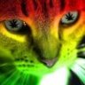 Aff4arcaRecord