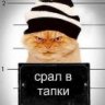 _Gadi4_