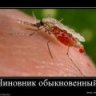 Чиновник