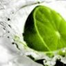lime4ik