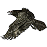 Darrggon77