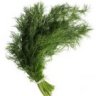 theDill