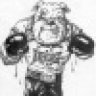 gnomer33