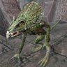 ClanFEAR