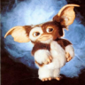 Gizzmo_kaka