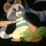 iraccoon