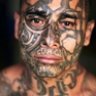 el_agressive