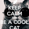 CoolCat