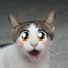 Weira