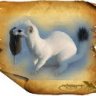 Ermine