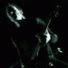 SupernaturaL2