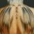 SPARDA