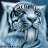 DigitalTiger