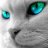 FelixTheCat