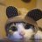 Catslover